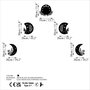 Wallity The Phases Of The Moon